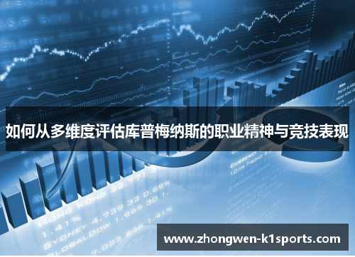 如何从多维度评估库普梅纳斯的职业精神与竞技表现
